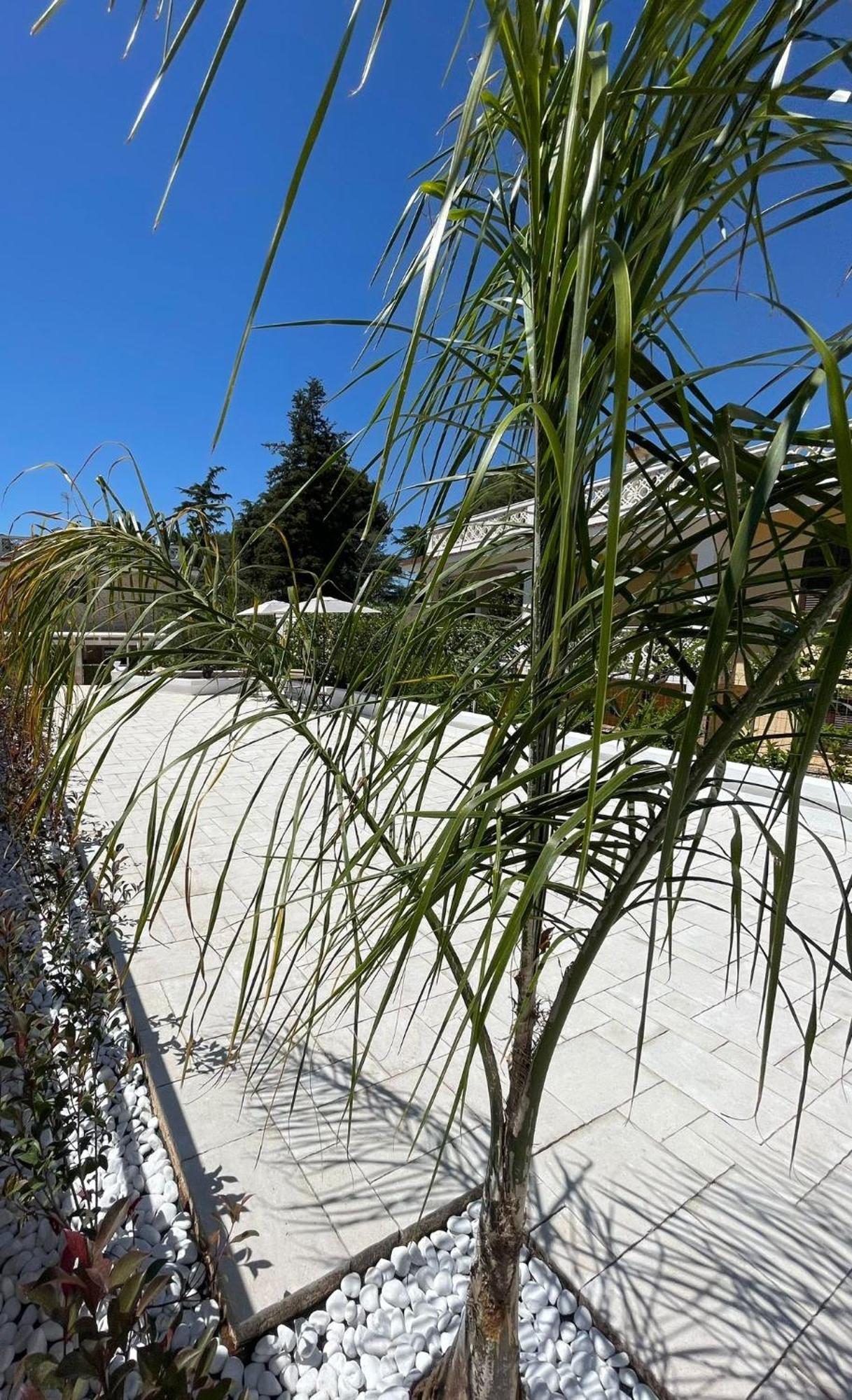 Allivigne Rooms & Pool Polignano a Mare Zewnętrze zdjęcie